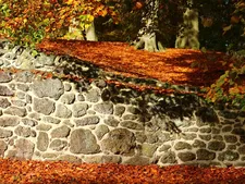 Steps for Children