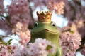 Kasper und der Märchenprinz 