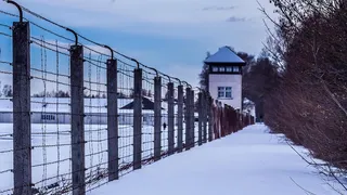 Der Tod wohnt nebenan